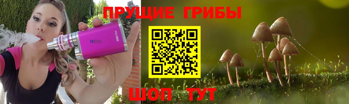 Соликамск  дарнет шоп  Вход с VPN  Псилоцибиновые грибы Psilocybine cubensis 